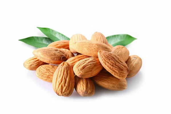 تصویر 2 از خرید و قیمت مغز بادام درجه یک + فروش عمده